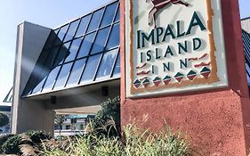 Impala Island Inn Ocean City New Jersey